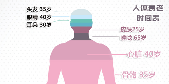 KAIYUN官网