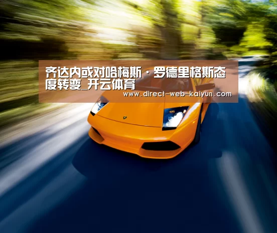 开云入口