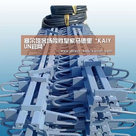 开云入口