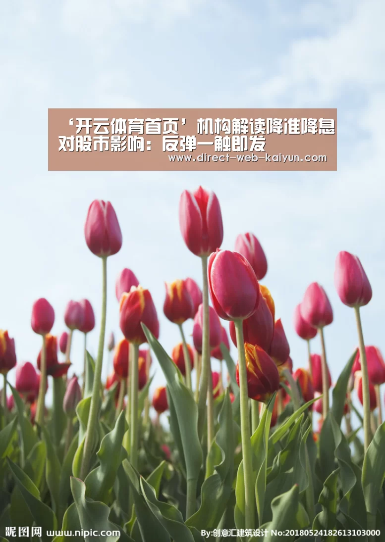 KAIYUN官网