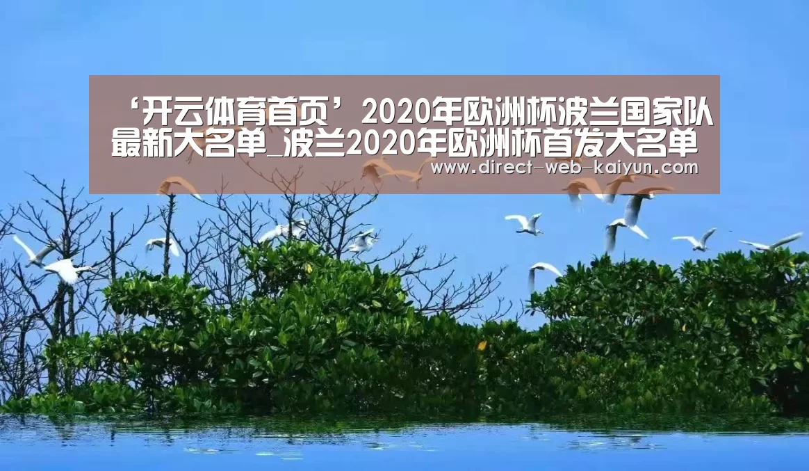 开云体育