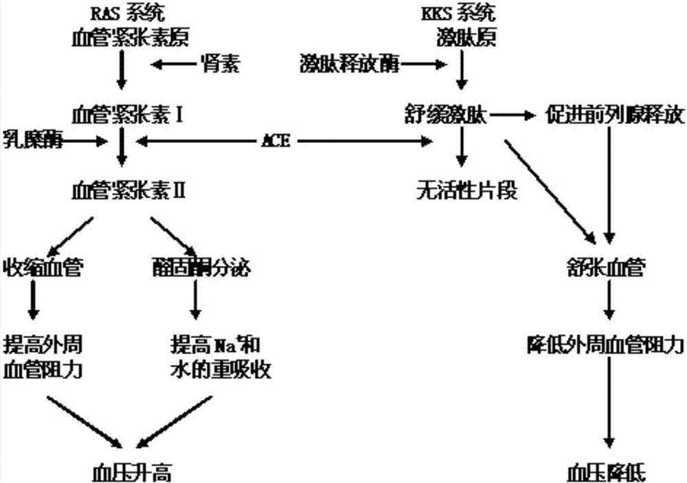 开云体育