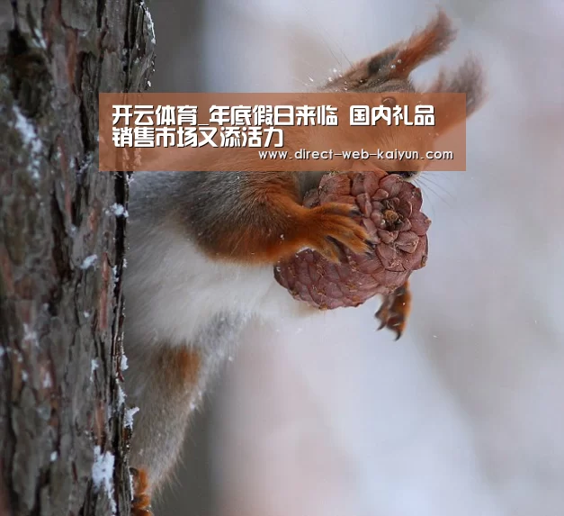 开云体育首页