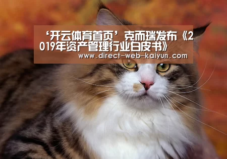 开云体育首页