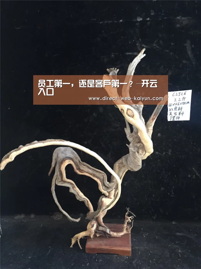 KAIYUN官网