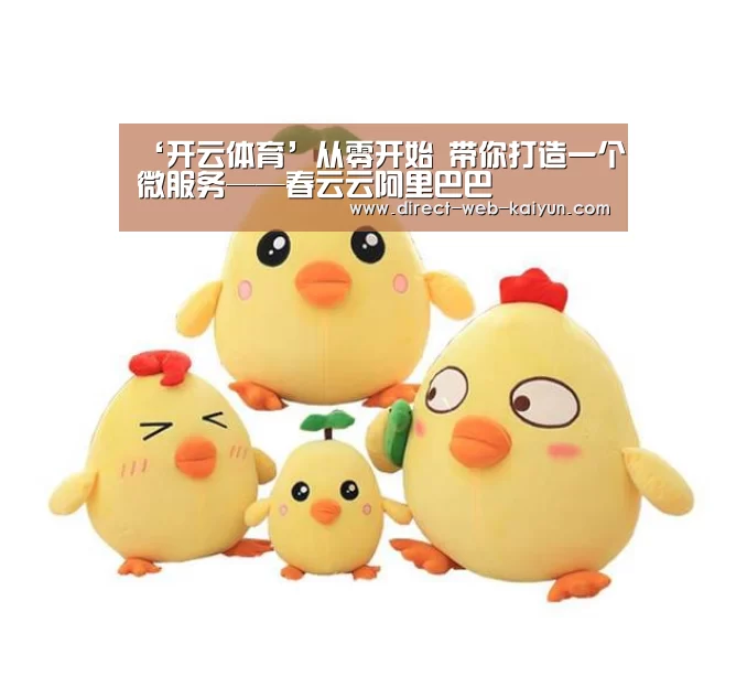 ‘开云体育’从零开始 带你打造一个微服务——春云云阿里巴巴(图2) 开云体育