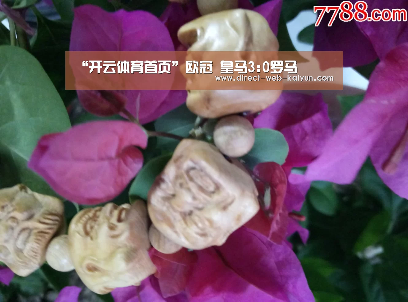 开云入口