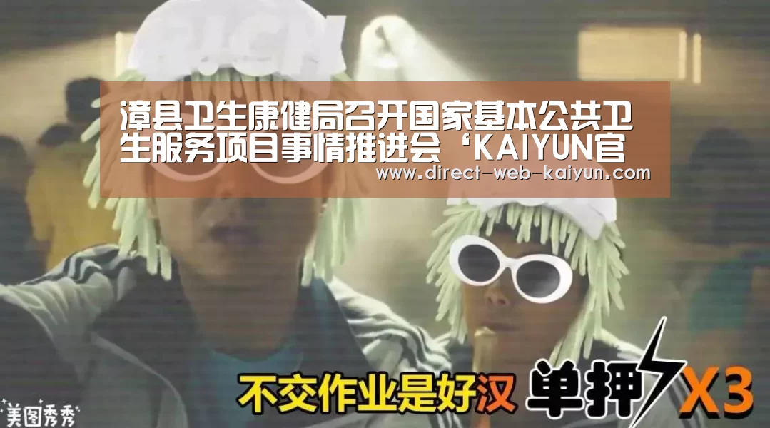 漳县卫生康健局召开国家基本公共卫生服务项目事情推进会‘KAIYUN官网’(图2) 开云体育