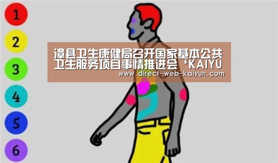 漳县卫生康健局召开国家基本公共卫生服务项目事情推进会‘KAIYUN官网’(图1) 开云体育首页
