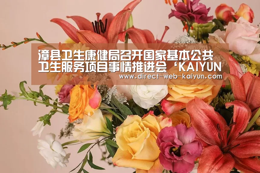 漳县卫生康健局召开国家基本公共卫生服务项目事情推进会‘KAIYUN官网’(图4) 开云体育