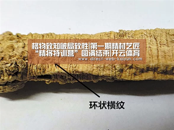 格物致知破局致胜|第一期精材艺匠“精将特训营”圆满结束|开云体育(图4) 开云体育