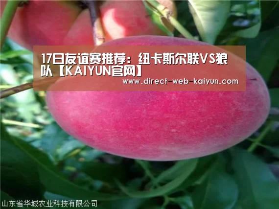 开云体育