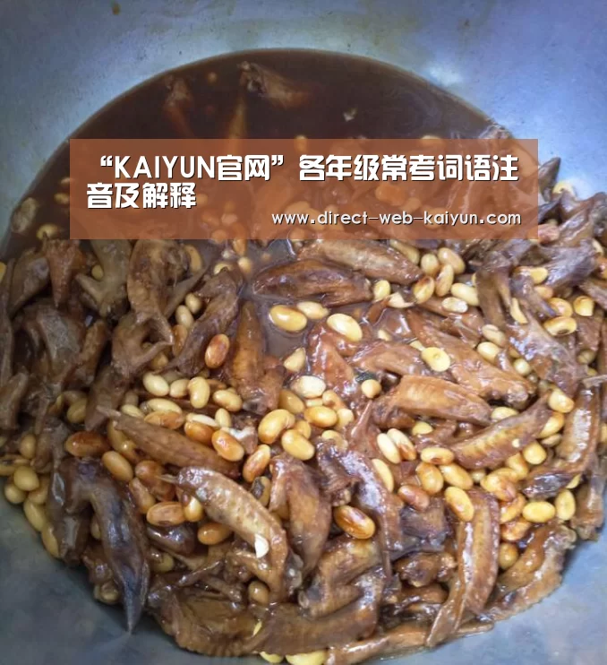 开云入口