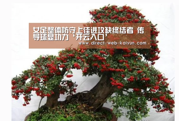 开云体育首页